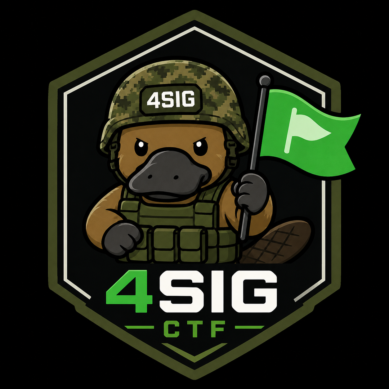 4SIG CTF Summer 2026